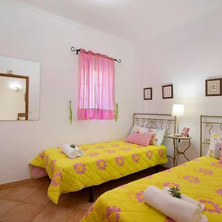 阿尔曼萨Casa Do Barrocal别墅 外观 照片